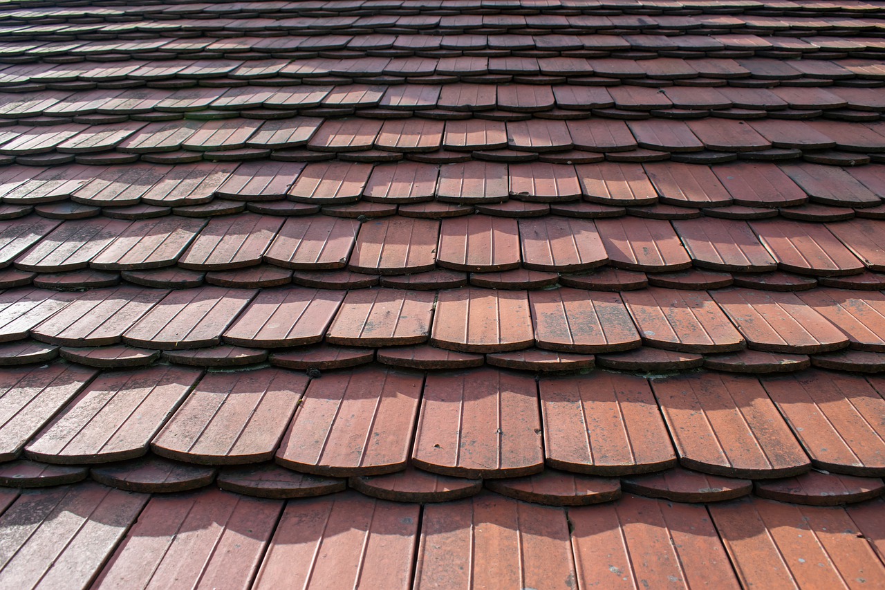 shingle roofs